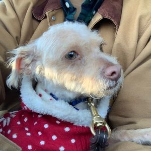 Meet your Posher, Gabriel